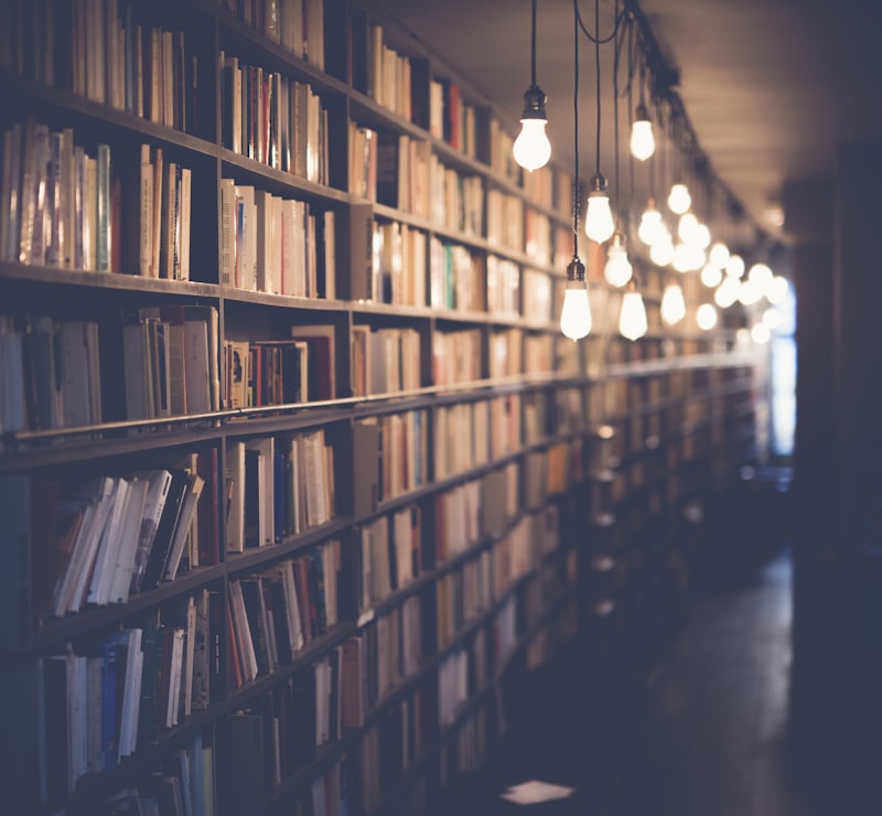 Private Library Reading Portrait